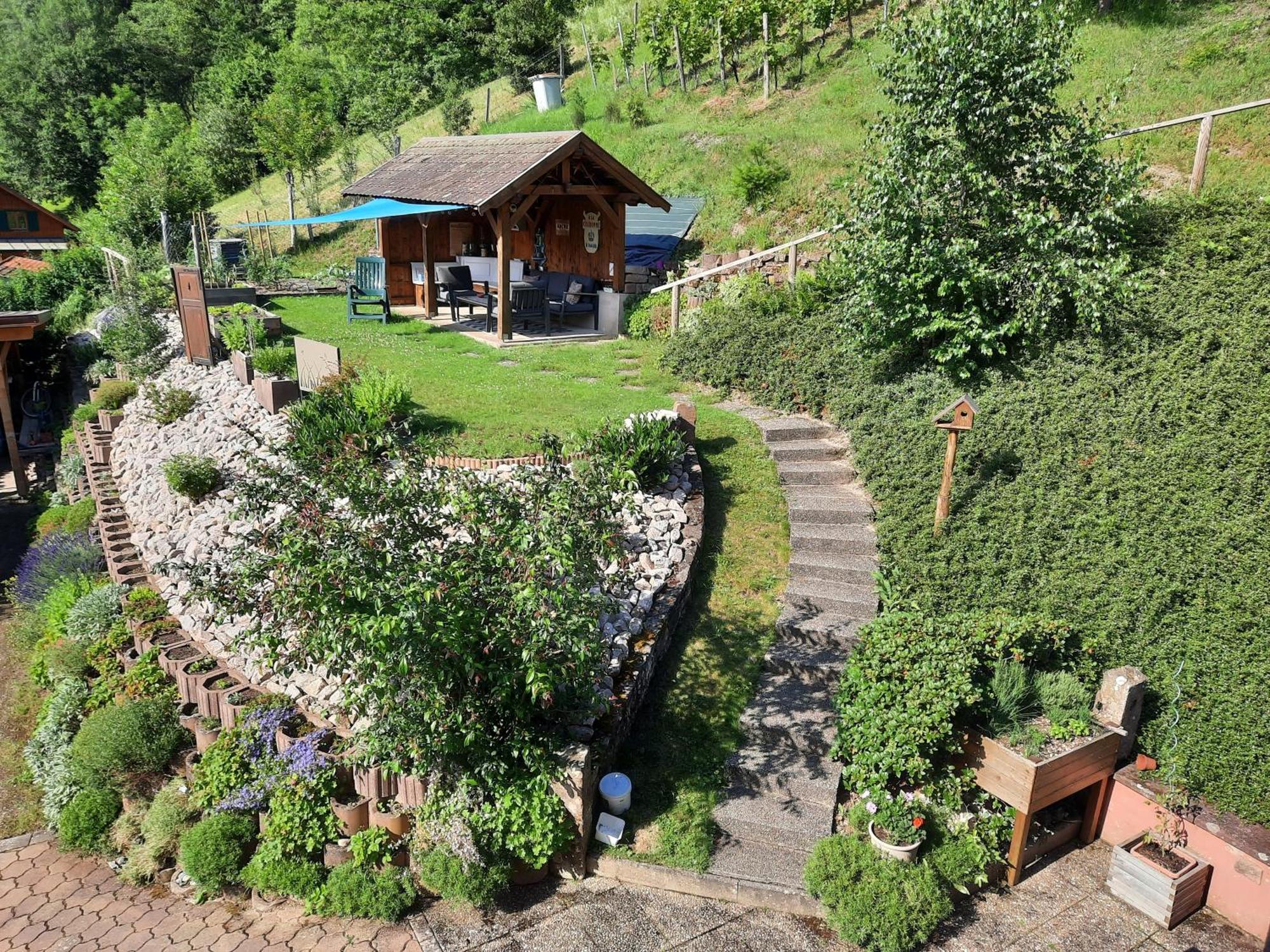 Chambres D'Hotes "Au Val Sejour" Alsace Saint-Martin  Bagian luar foto