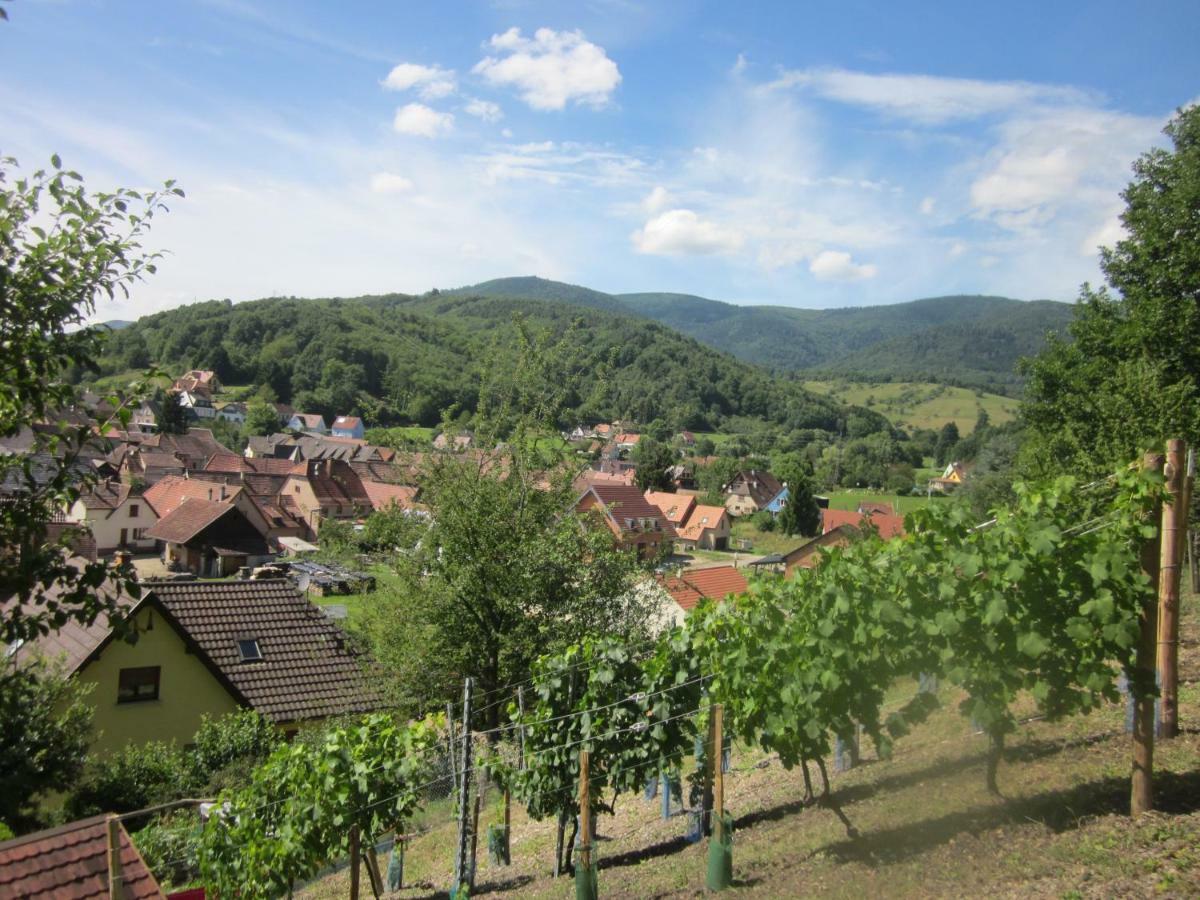 Chambres D'Hotes "Au Val Sejour" Alsace Saint-Martin  Bagian luar foto